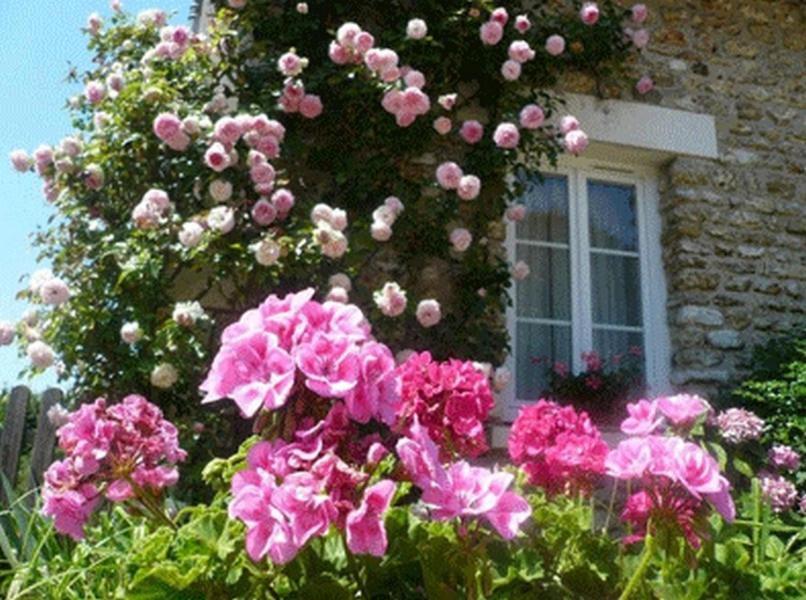 Chambres D'Hotes La Pocterie Vouneuil-sur-Vienne Bagian luar foto
